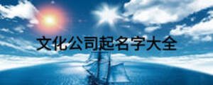 文化公司起名字大全