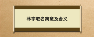 通用2 (1).png