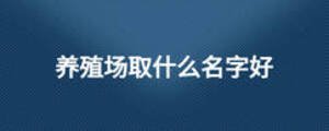 養殖場取什么名字好