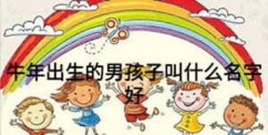 牛年出生的男孩子叫什么名字好