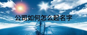 公司如何怎么起名字