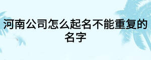 河南公司怎么起名不能重復的名字