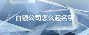 白銀公司怎么起名字