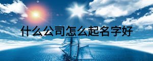 什么公司怎么起名字好