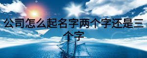 公司怎么起名字兩個字還是三個字