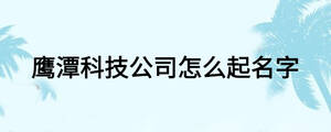 鷹潭科技公司怎么起名字