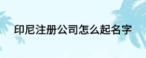 印尼注冊(cè)公司怎么起名字