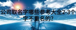 公司取名字哪些參考大全2-3個字不重名的?