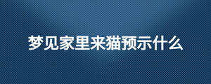 夢見家里來貓預示什么