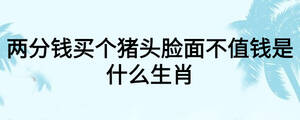 兩分錢買個豬頭臉面不值錢是什么生肖