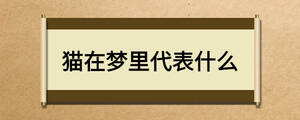 貓?jiān)趬衾锎硎裁? width=