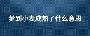 夢到小麥成熟了什么意思