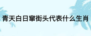 青天白日竄街頭代表什么生肖