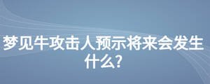 夢見牛攻擊人預示將來會發生什么?