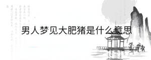 男人夢見大肥豬是什么意思